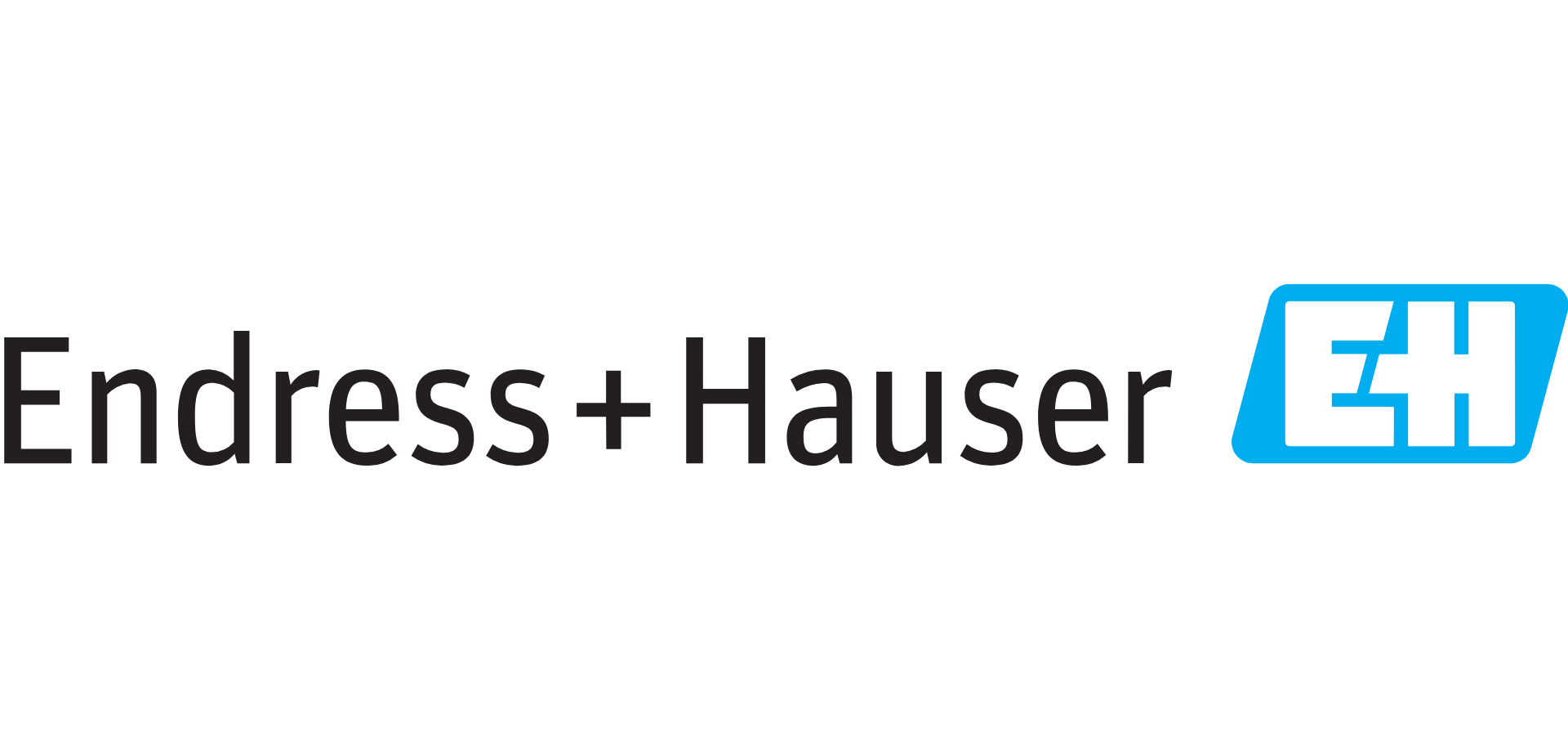 assets/EndressHauser-Cgpg4H_1.png